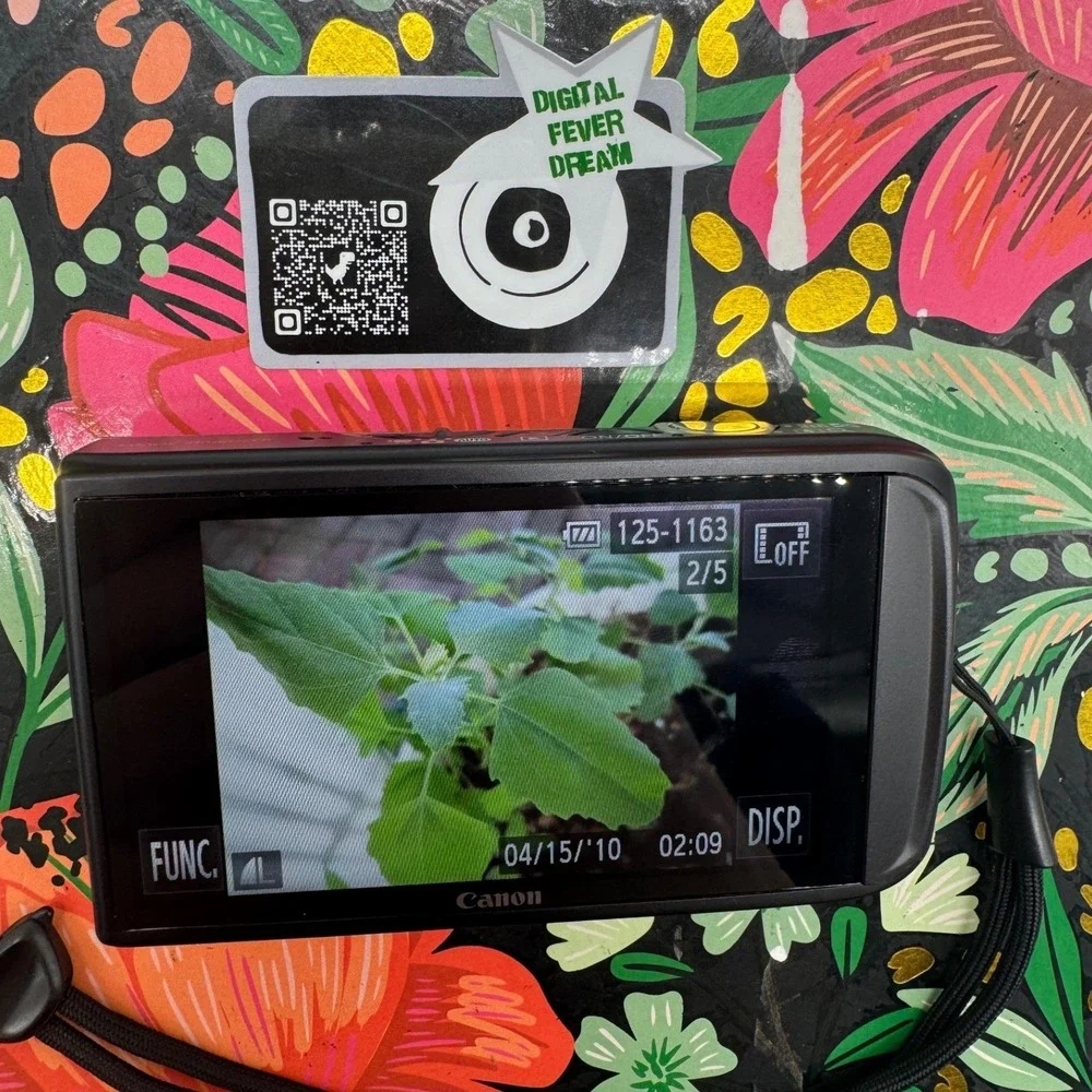 Canon PowerShot SD3500 IS Digital ELPH 14.1MP Camera Silver Bundle